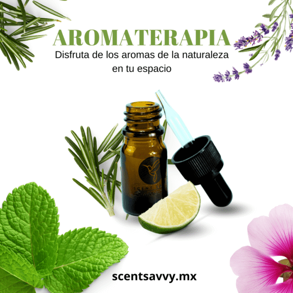 Aromaterapia 10ml Aromaterapia 10ml