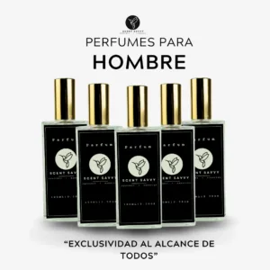Perfumes para hombre 100ml